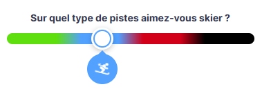 netski choix ski adulte par niveau